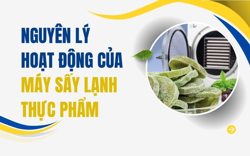 Nguyên lý hoạt động của máy sấy lạnh thực phẩm
