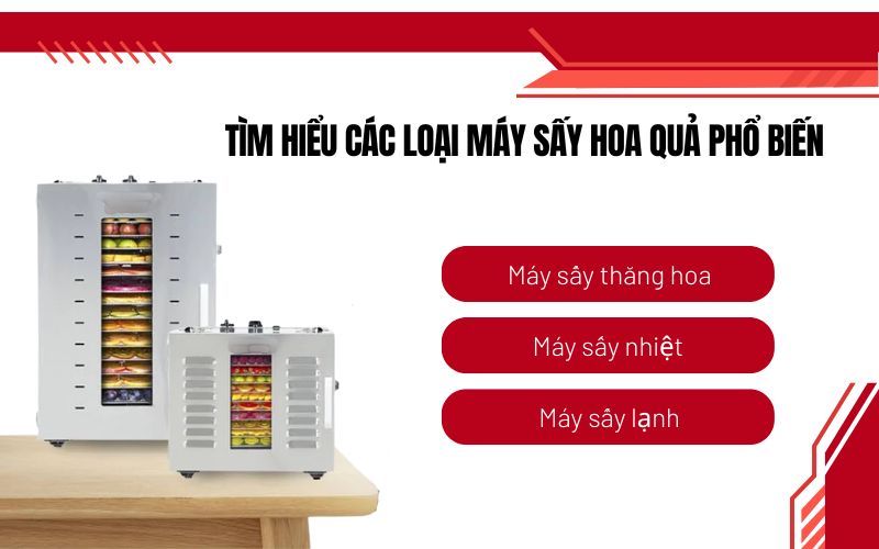 Tìm hiểu các loại máy sấy hoa quả phổ biến