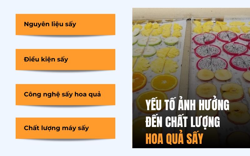 Yếu tố ảnh hưởng đến chất lượng hoa quả sấy