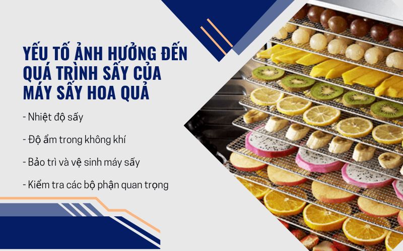 Lợi ích vượt trội của máy sấy hoa quả trong gia đình