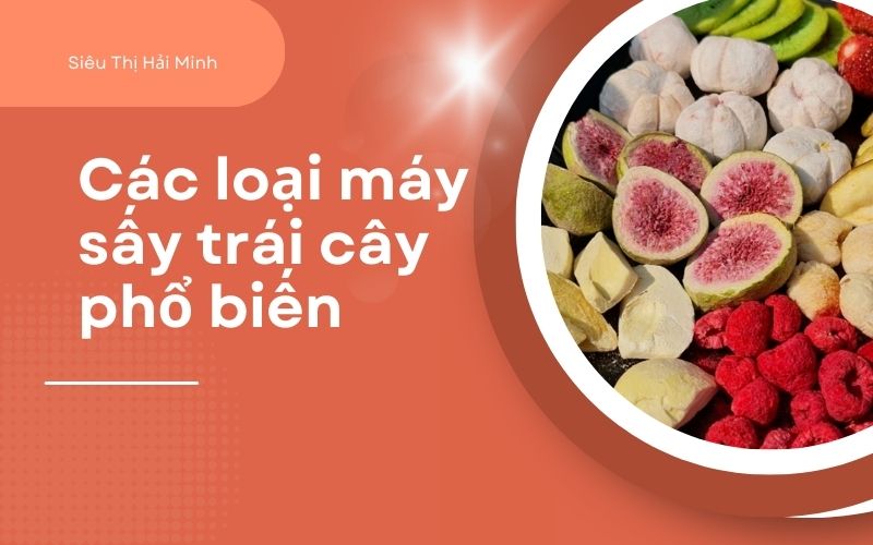 Các loại máy sấy trái cây phổ biến