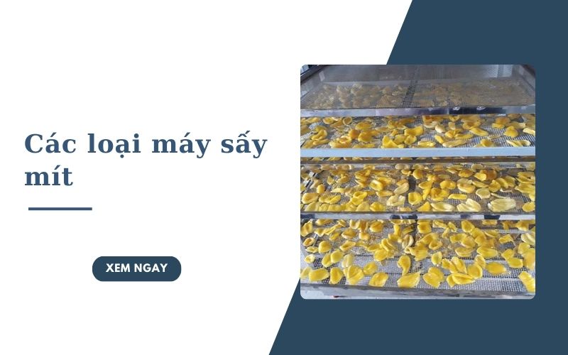 Giới thiệu các loại máy sấy mít phổ biến hiện nay