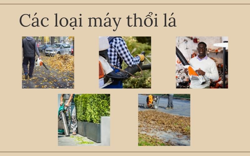 Các loại máy thổi lá phổ biến