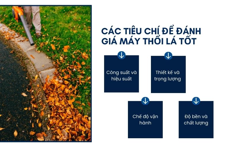 Các tiêu chí để đánh giá máy thổi lá tốt