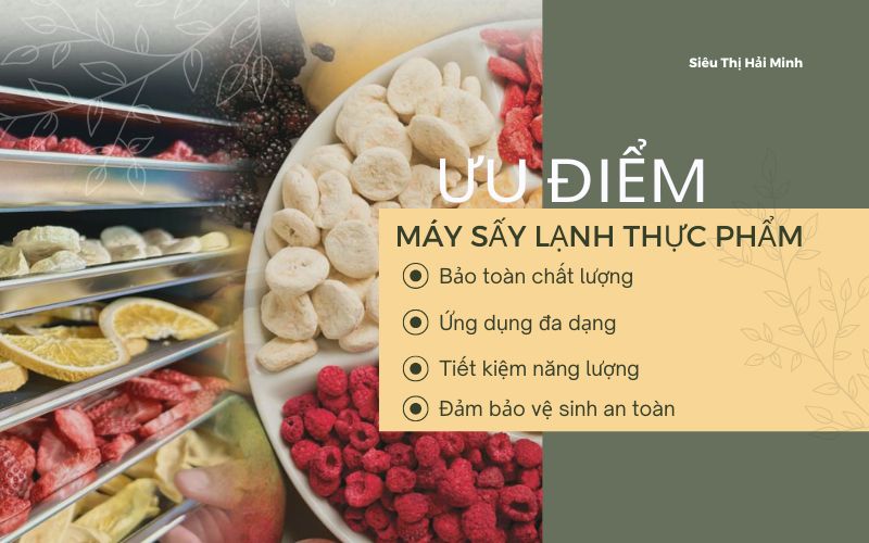 Các ưu điểm vượt trội của máy sấy lạnh thực phẩm
