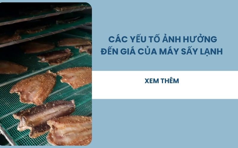 Các yếu tố ảnh hưởng đến giá của máy sấy lạnh