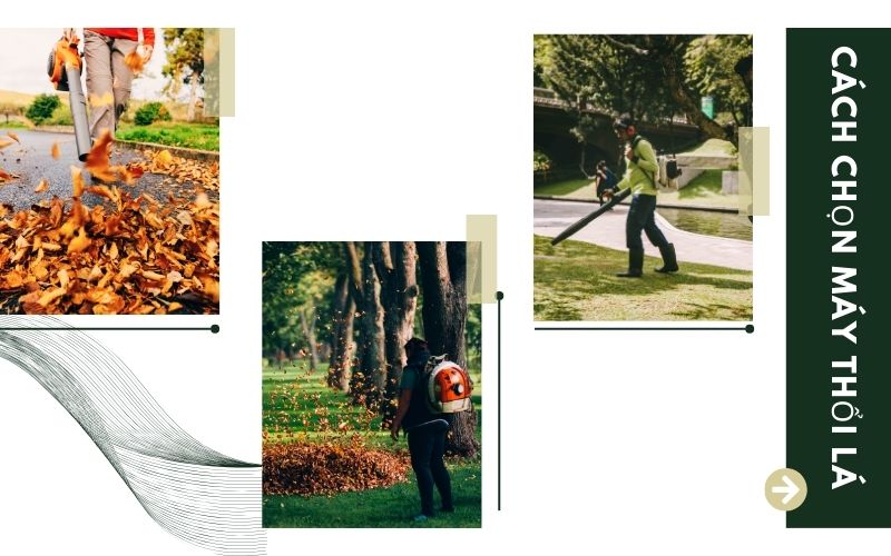 Cách chọn máy thổi lá phù hợp