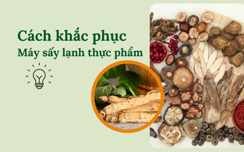 Cách khắc phục các sai lầm khi sử dụng máy sấy lạnh thực phẩm