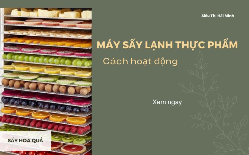 Cách máy sấy lạnh thực phẩm hoạt động