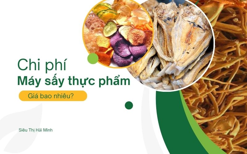 Chi phí đầu tư máy sấy thực phẩm khoảng bao nhiêu?