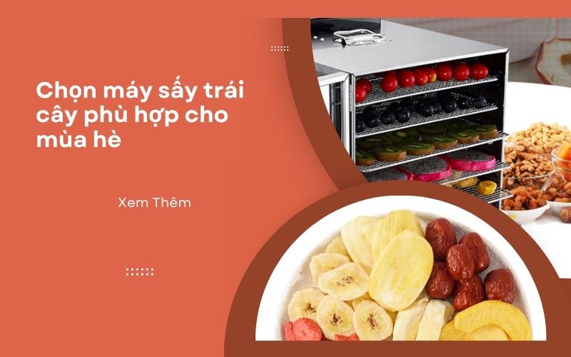 Chọn máy sấy trái cây phù hợp cho mùa hè