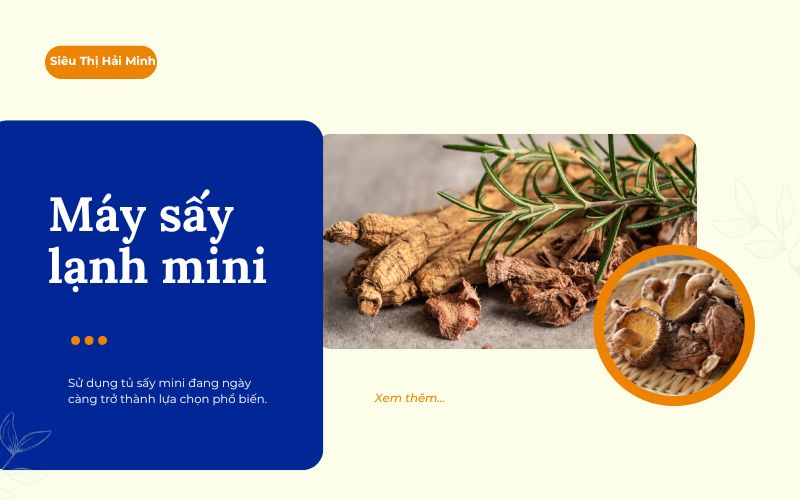 Lợi ích ưu việt của máy sấy lạnh mini cho gia đình