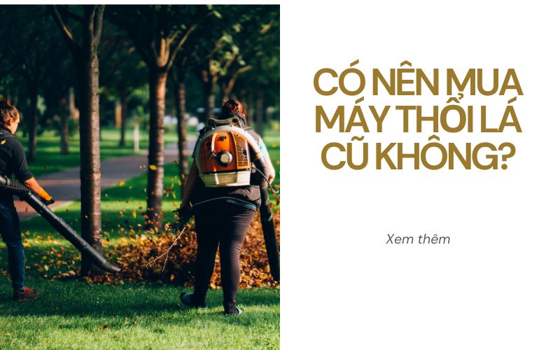 Có nên mua máy thổi lá cũ không?