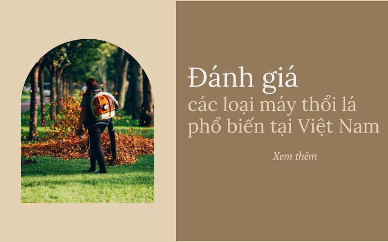 Đánh giá chi tiết các loại máy thổi lá phổ biến tại Việt Nam