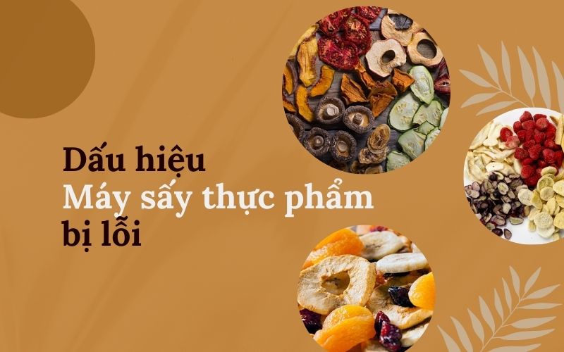 dấu hiệu thường gặp khi máy sấy thực phẩm bị lỗi