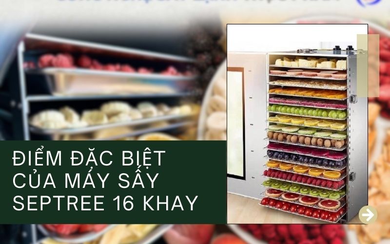 Giới thiệu chung về Máy sấy Septree 16 khay