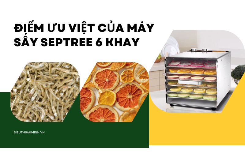 Điểm ưu việt của Máy sấy Septree 6 khay