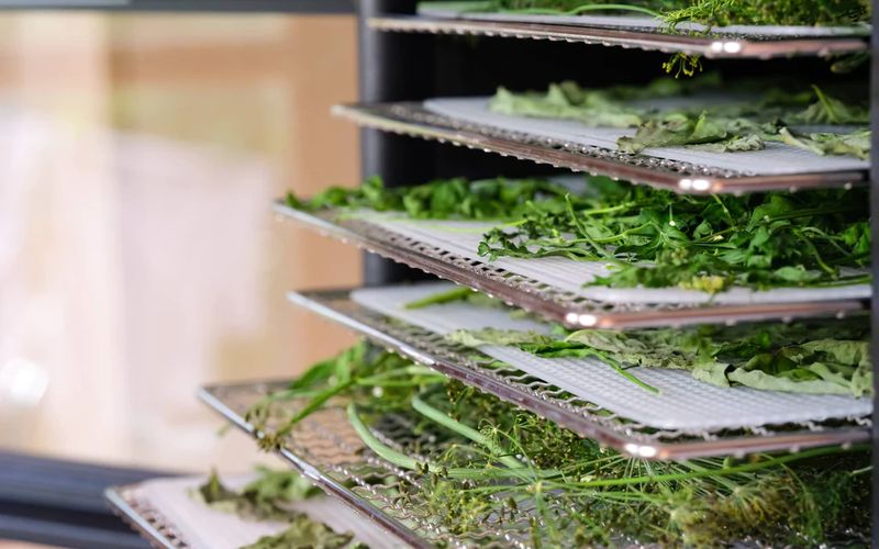 Giá của máy sấy lạnh công nghiệp có đắt không?