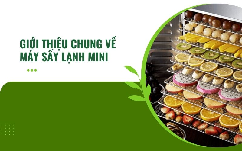 Giới thiệu chung về máy sấy lạnh mini