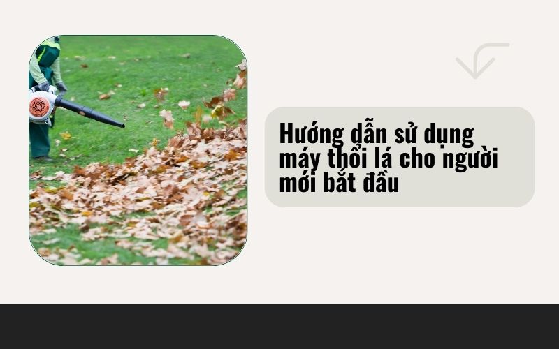 Hướng dẫn sử dụng máy thổi lá cho người mới bắt đầu