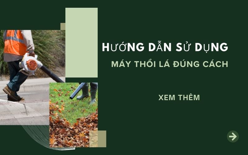 Hướng dẫn sử dụng máy thổi lá đúng cách