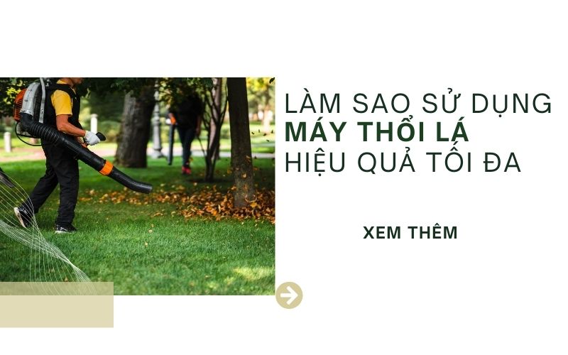 Làm sao sử dụng máy thổi lá để có được hiệu quả tối đa