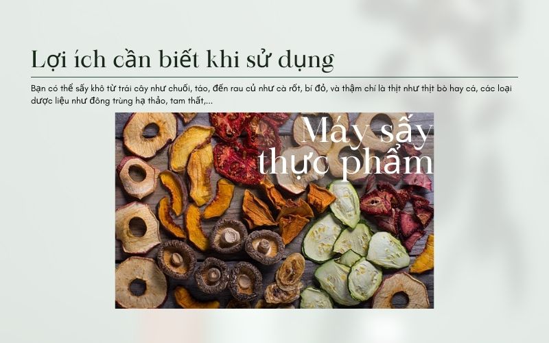 Lợi ích cần biết khi sử dụng máy sấy thực phẩm