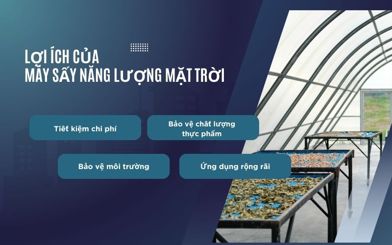 Lợi ích của máy sấy năng lượng mặt trời trong sản xuất thực phẩm sạch