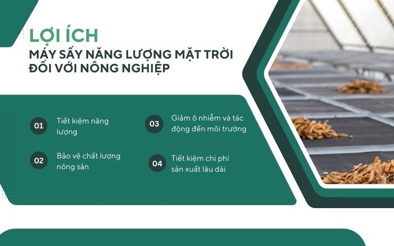 Lợi ích của máy sấy năng lượng mặt trời đối với nông nghiệp