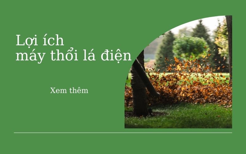 Lợi ích của máy thổi lá điện