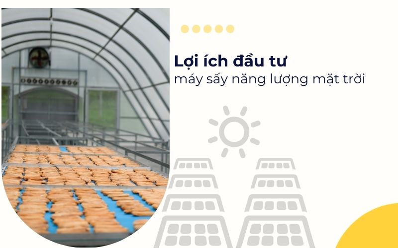 Lợi ích của việc đầu tư vào máy sấy năng lượng mặt trời