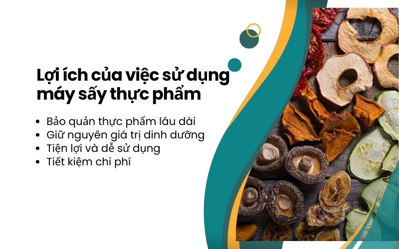 Lợi ích của việc sử dụng máy sấy thực phẩm