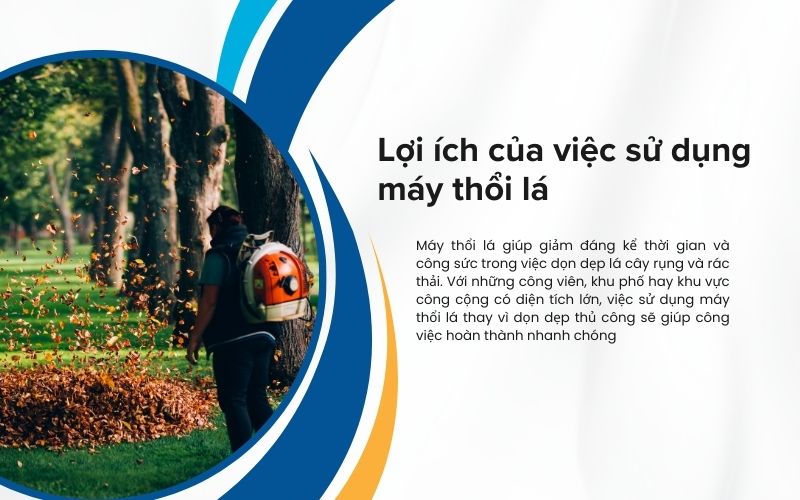 Lợi ích của việc sử dụng máy thổi lá trong chăm sóc cảnh quan đô thị