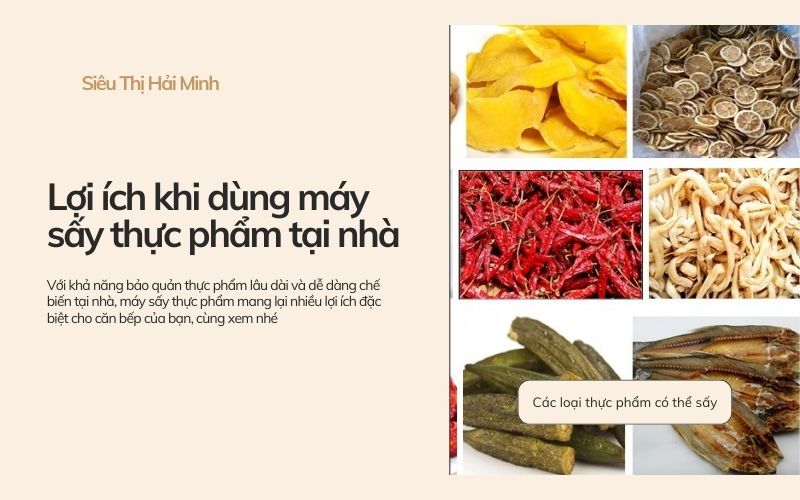 Lợi ích khi dùng máy sấy thực phẩm tại nhà
