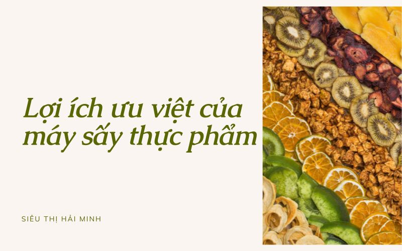 Lợi ích ưu việt của máy sấy thực phẩm