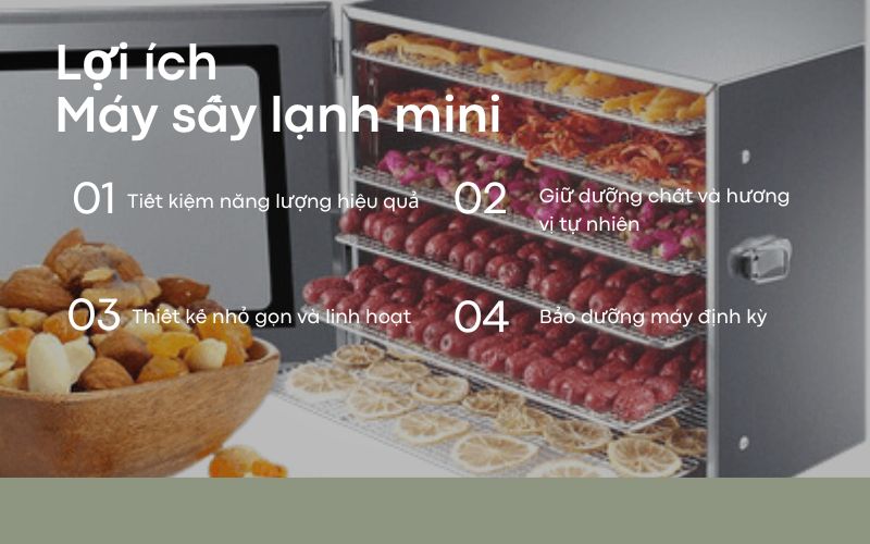 Lợi ích vượt trội khi sử dụng máy sấy lạnh mini