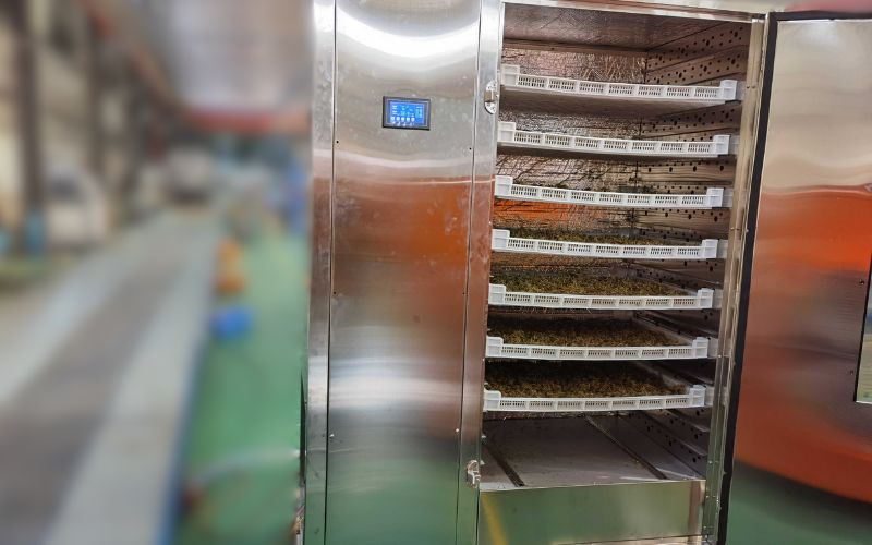 Lưu ý khi chọn mua máy sấy thực phẩm cũ