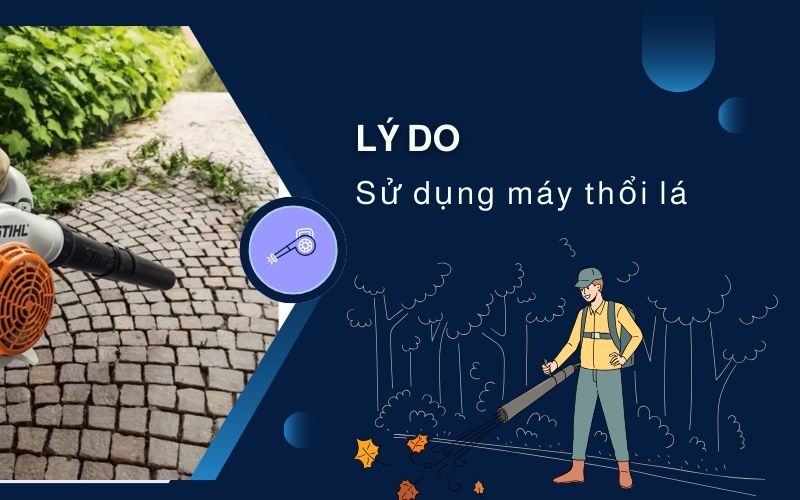 Lý do máy thổi lá là công cụ không thể thiếu
