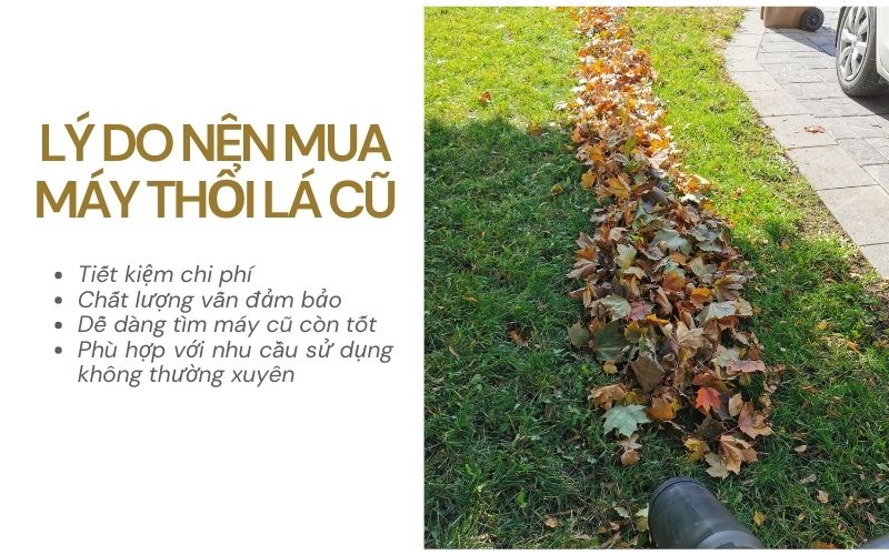 Lý do nên mua máy thổi lá cũ