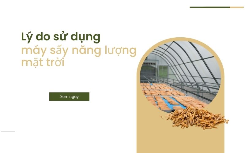 Lý do sử dụng máy sấy năng lượng mặt trời