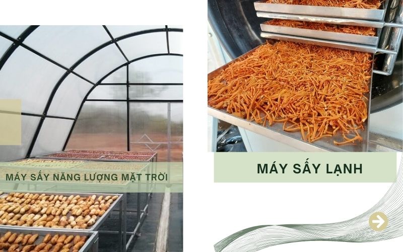 Ưu nhược điểm khi sử dụng máy sấy năng lượng mặt trời