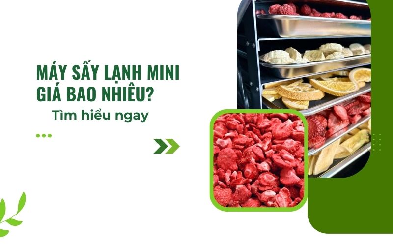 Máy sấy lạnh mini giá bao nhiêu?