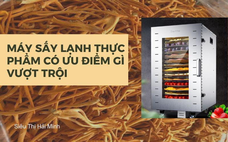 Máy sấy lạnh thực phẩm có ưu điểm gì vượt trội