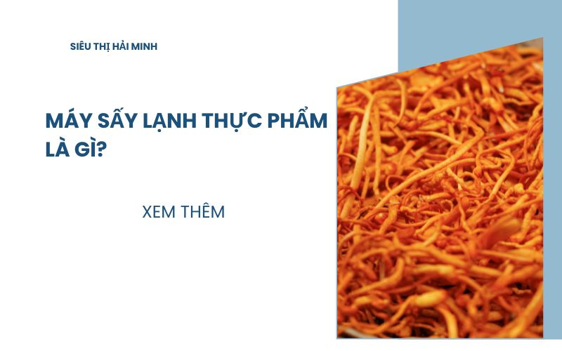 Tìm hiểu Máy sấy lạnh thực phẩm là gì?