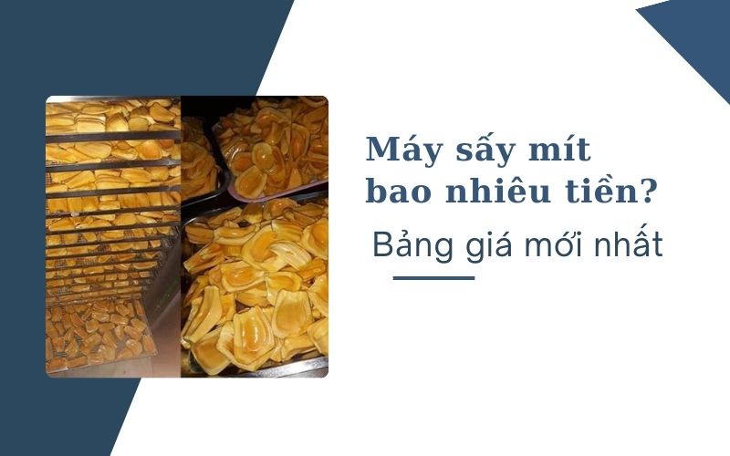 Máy sấy mít bao nhiêu tiền? Bảng giá mới nhất