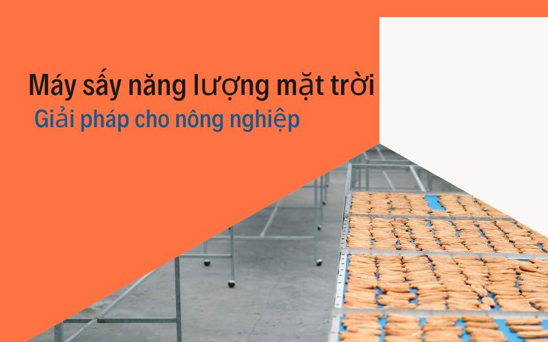 Máy sấy năng lượng mặt trời: Giải pháp cho nông nghiệp