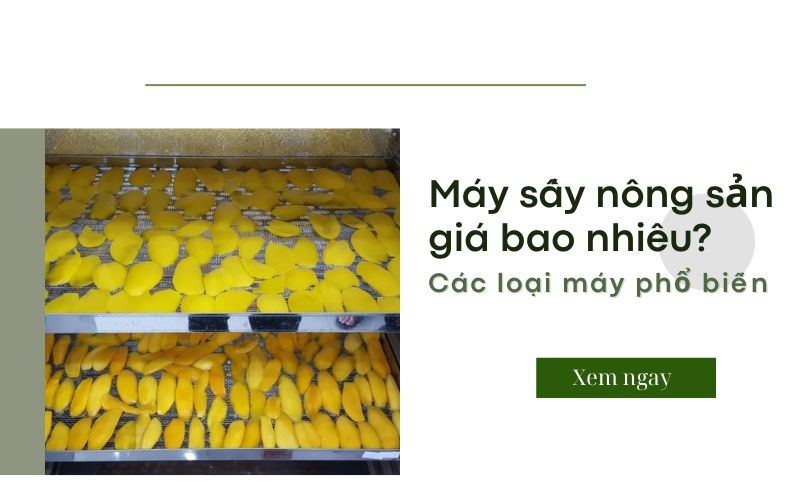 Máy sấy nông sản giá bao nhiêu? Các loại máy phổ biến