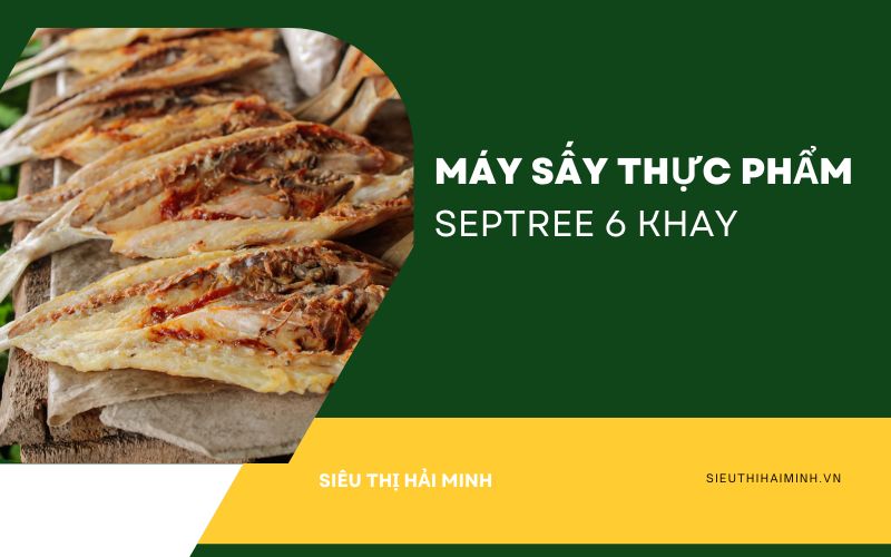 Giới thiệu tổng quan về Máy sấy Septree 6 khay