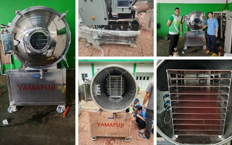 Đặc điểm nổi trội của máy sấy thực phẩm YAMAFUJI SH-24