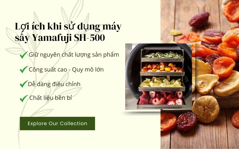 Lợi ích khi sử dụng máy sấy Yamafuji SH500